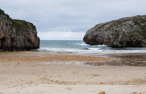 nueva el bosquin - Foto 11