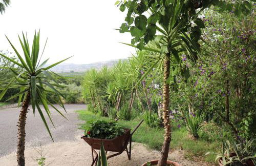 Il Terrazzo sul Sinni - Foto 135