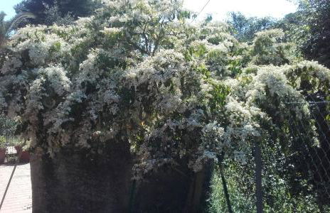 Gavila's Residenza Turistico Alberghiera - Foto 52