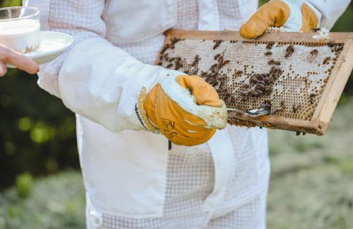 Agriturismo Mon Chéri - Foto 60