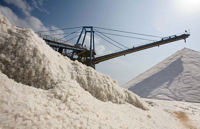 Visita guiada pelas salinas de Torrevieja - Foto 6