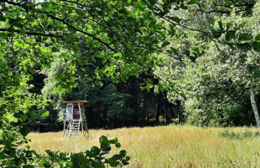 Forest Retreat In East Frisia - Photo 30