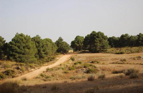 Esencia Lodge - luxurious off-grid cabin retreat - Foto 21