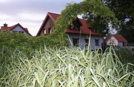 Na zielonej łące... - Foto 10