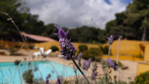 YourHouse Sol i Mar 1 beach apartment - Photo 5