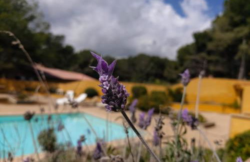 YourHouse Sol i Mar 1 beach apartment - Photo 5