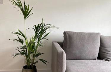An Oasis in the heart of Hackney - Foto 1