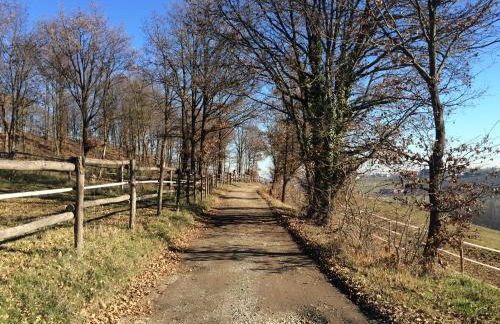 Agriturismo Il Colle del Falco - Photo 32