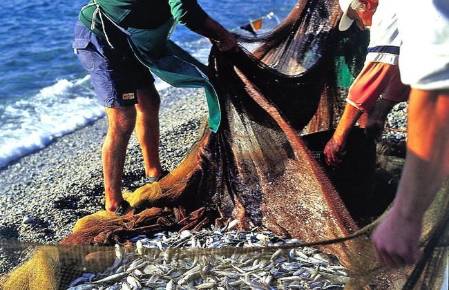 Apartment in Pietra Ligure With Communal Terrace-formerly TUI Ferienhaus - Foto 10