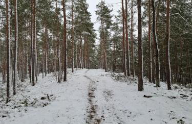 Augustówka - letnisko na Wrzosowiskach - Foto 65