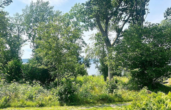 4 Person Holiday Home in Braas-by Traum - Foto 23