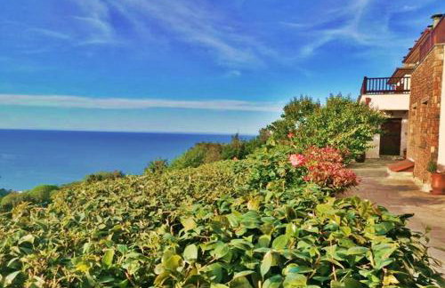 Lions Nine - Foto 19