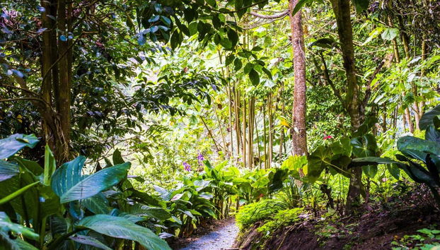 A spasso per la tenuta