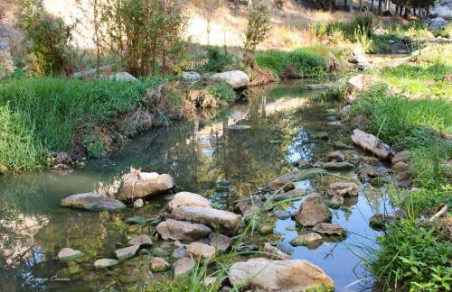 LA FINESTRA SUL PONTE - Foto 63