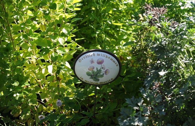 Lagrein in the Prantenbergergut - Foto 9