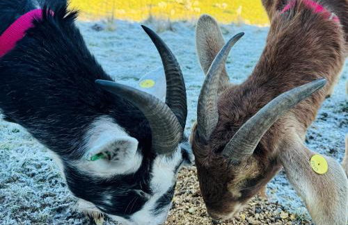 Worfe View Cottage - Foto 23