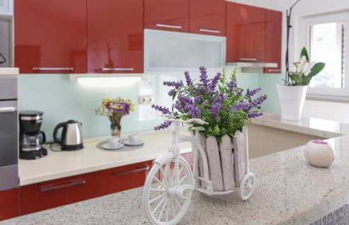 Three-Bedroom Apartment In Donja Ostrvica - Photo 25