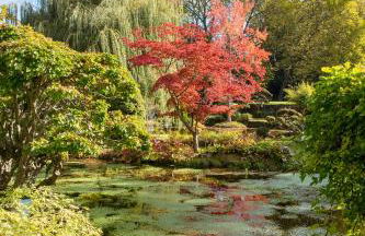 Le Domaine de Courances - Pierres d'Histoire - Foto 21