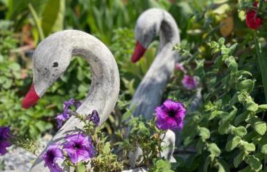 House of sunset 2 Sivas - Photo 39