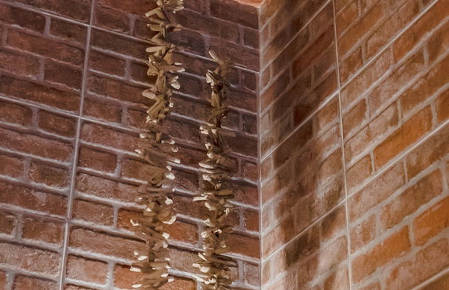 Charme Pettinari 11 people - Foto 30