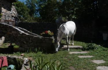 Eco-gîte La Clé des Champs - Foto 5