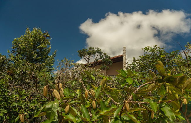 Lofts Lobo Guara - Foto 20