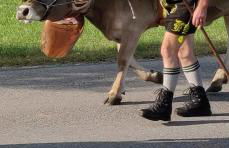 Haus Meinecke - Foto 27