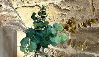 Le Troglochill - Foto 4