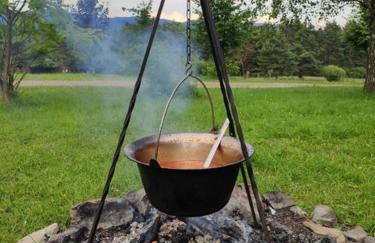 Agroturystyka Zadnie Łuki - Foto 13