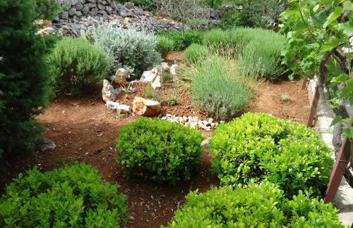 Apartments Barbara - Photo 67