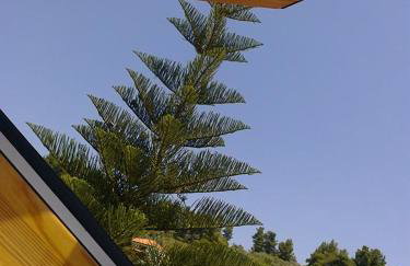 Katikies Stamatias Studios & Maisonettes - Foto 48