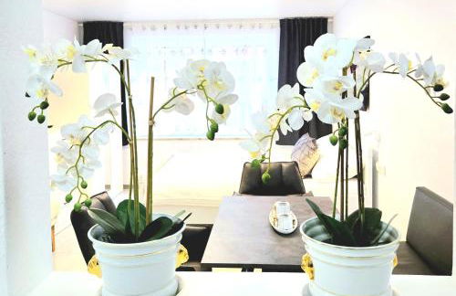 Schneider Appartements Steinhude - Photo 15