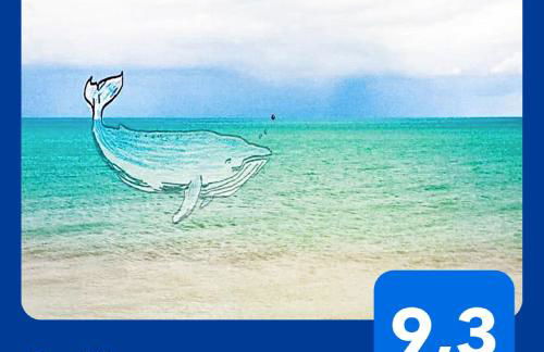 La BALEINE BLEUE - Foto 1