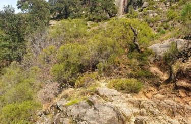 Casa da Lagoa II - Foto 25