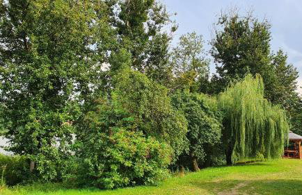 Nasz Dębowiec - dom dla 15 osób, sauna, widok na staw, wielka działka - Photo 51