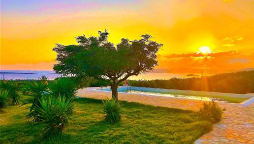 Paros Afrodite Luxury Villas - Foto 2, Garden, Garden view