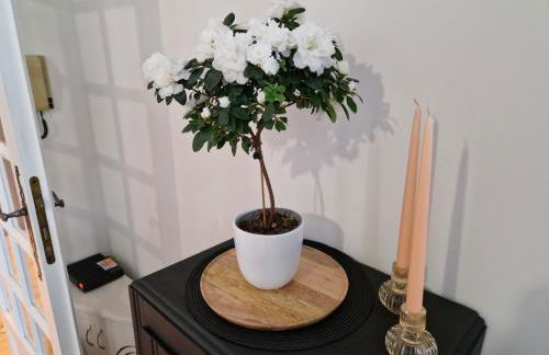 Le petit coin de la bastide 11 - Foto 19