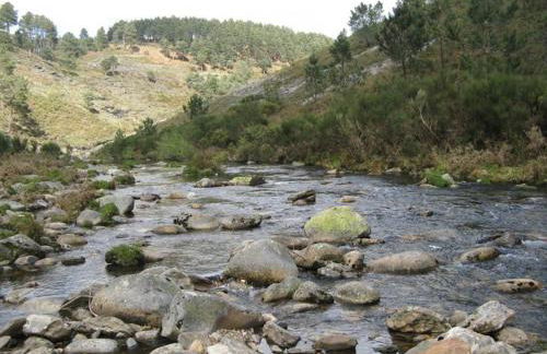 Fisgas Cabana - Foto 57