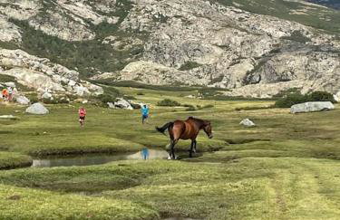Mini villa agosta plage - Foto 35