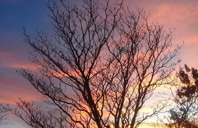 Departamento Completo, Playa Paradisiaca, - Foto 8