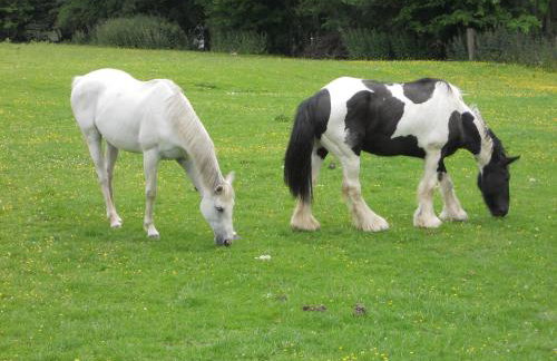 The Barn at Titley - Foto 22