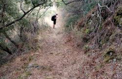 Avgonima Chios Spitakia Cottages - Photo 16