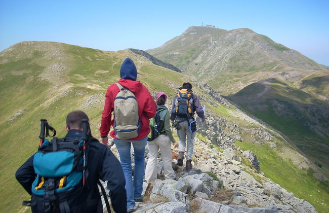 Residence Cimone - Foto 38