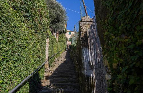3 Windows on Golfo Paradiso - Pieve Ligure - Photo 21