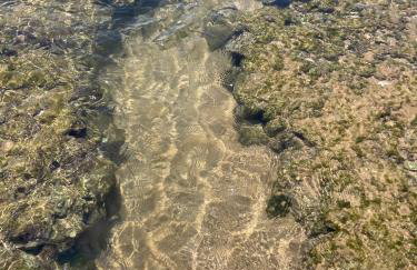 Guarajuba Village Térreo 3 quartos - Genipabu Summer Residence - Foto 13