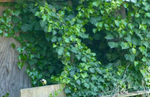 Haus am Sandsteinbruch - Foto 9