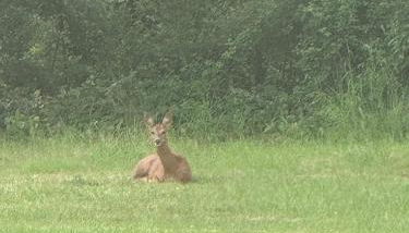 Rudley Ranch - Photo 2