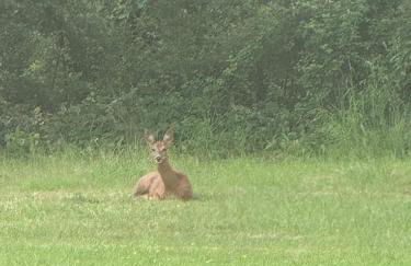 Rudley Ranch - Foto 2