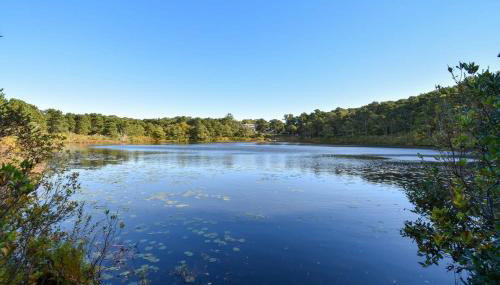 Spacious Home with Direct Pond Access! - Foto 4