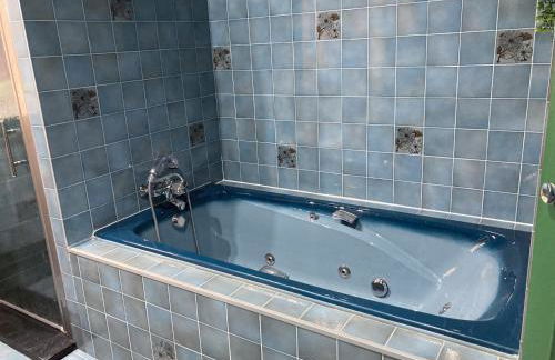 Maison Auvergnate Le repaire des Milans - Foto 26